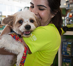 853e37_0bcf4a87e3c44541ac929192d358a63e.jpg_srz_p_236_213_75_22_0.50_1.20_0.00_jpg_srz